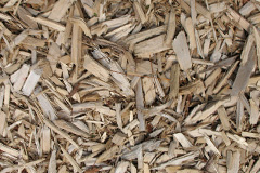 biomass boilers Sandon